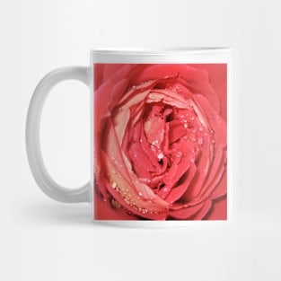 Rose with Water Droplets Photograph Mug